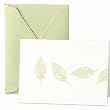 Naturals Leaves Notes