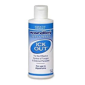 (Price 3)Wellness Ick Out 4oz (freshwater) by Top Dawg Pet Supplies