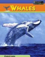Whales (Sea Creatures)