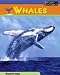 Whales (Sea Creatures)