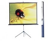 Produkt-Bild: HDTV Stativ Leinwand in der Gr&ouml;&szlig;e 200 x 150cm / 4:3 von GOLIATH AV-LW12