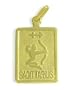 10 Karat Yellow Gold Sagittarius Zodiac Pendant with Chain