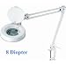 2-in-1 Spring-Arm Magnifier Lamp - 5 Lens - 8-Diopter - Daylight Fluorescen 8606-D 8D