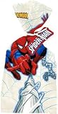 Amazing Spider-Man Cellophane Bags