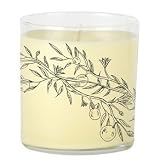 Archipelago Botanicals Grapefruit Candle - B0012NQCJC