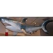 Shark statue garden pool decor Great White sculpture (Digital Angel)