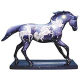 Stardust Trail of the Painted Ponies