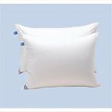 Primafil Synthetic Pillow Size: European by 
