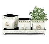 Set Of 3 Tin Seashell Decor Planters With Tray Wonderful For Nautical Or Beach Decor