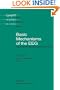 Basic Mechanisms of the EEG (Brain Dynamics)