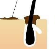 �������른��ѥ� ��ư�إåɥ֥饷 ������ץ����å��� ����ư+���ꥳ��! Ƭ��α����ͥ������������ EJ-GA017