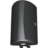 Definitive Technology AW 5500 Outdoor Speaker (Single, Black)