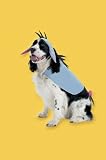 Eeyore Pet COSTUME, Small