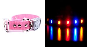 How's Your Dog LED Flashing Nighttime Safety Dog Collar - Candy Pink/Medium (13