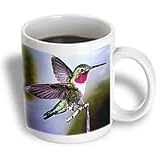 Birds - Hummingbird, Bird - Mugs