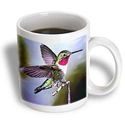 Hummingbird, Bird - 15oz Mug