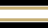 Pittsburgh Penguins NHL Team Color Wallpaper Border
