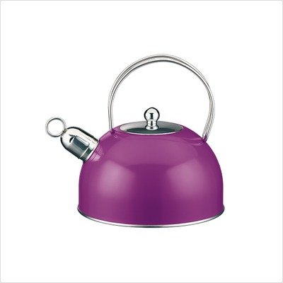 Classic Color Stainless Steel Kettle in Purple