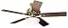 Hunter 21537 The Vista 52-Inch Five-Rosewood/Medium Oak-Blades-Ceiling Fan, Hunter Bright Brass Finish