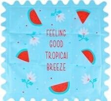 Summer Sleeping Mat Ice Pack Insulation Pad for Sofa Pillow Seat Cushion and Car Saddle and Computer Thermolysis to Refresh and Cool (sky blue with watermelon)