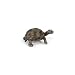 Schleich 14643 - Riesenschildkr�tenjunges