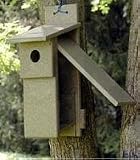 Nesting Box-Hunter Green