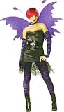 Goth Rockin Fairy Adult Size Costume