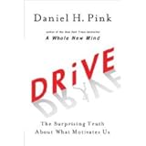 Drive: The Surprising Truth About What Motivates Us (Hardcover)