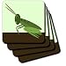 Florene Childrens Art II - Adorable Grasshopper On Green - Coasters