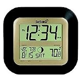 SkyScan Atomic Clock with