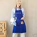 Disney Ratatouille Apron Oven Mitt Set