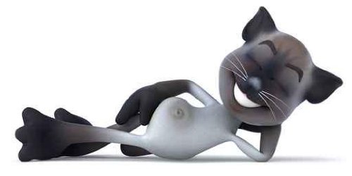 Chat – 52″W x 26″H – Peel and Stick Wall Decal by Wallmonkeys
