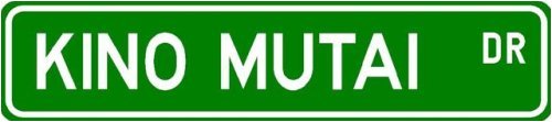 Kino mutai Street Sign ~ Martial Arts Gift ~ Aluminum