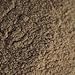 Indus Organics Nutmeg Ground Powder, 1 Lb Jar, Freshly Packed
