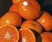 Honey Mandarin Tree One Gallon