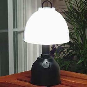 INDOOR OUTDOOR LAMP from Emergency Lighting