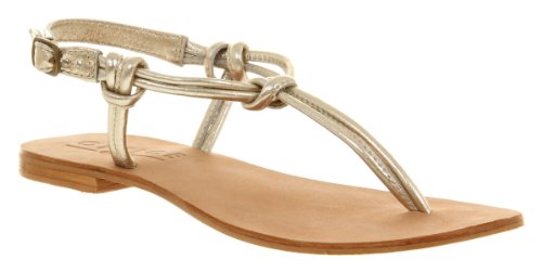 Office Caribbean Toe-post