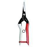 ���i�̏ڍ�