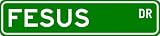 FESUS Street Sign ~ Personalized Family Lastname Sign ~ Gameroom, Basement, Garage Sign Novelty** METAL ALUMINUM - B000NFF3L8