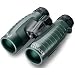31LjJFE2DHL. SL75  Optics Born