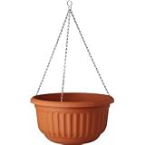 from Stewart Plastics Corinthian Hanging Basket 31-5cm Terracotta by Stewart Garden Products Model 2272034