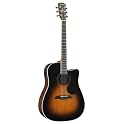 Acoustic-Electric Guitar