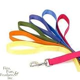 Coastal Pet Nylon Dog Leash Training Lead (Sunset Orange, 6 ft. L x 3/4 inch W)