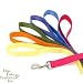 Coastal Pet Nylon Dog Leash Training Lead (Sunset Orange, 6 ft. L x 3/4 inch W)