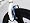 Freestyle BMX G-Surge Mag-Wheels white 556B