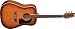 Washburn D10 Series D10STSK Acoustic Guitar