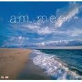 Am Meer 2012