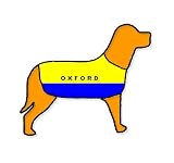 Oxford United Personalised Waterproof Dog Coat Size XS (10" 25cm)
