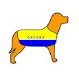 Oxford United Personalised Waterproof Dog Coat Size S (14" 35cm) 