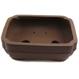 Happy Bonsai Rectangular Zisha Pot 2.2" Height